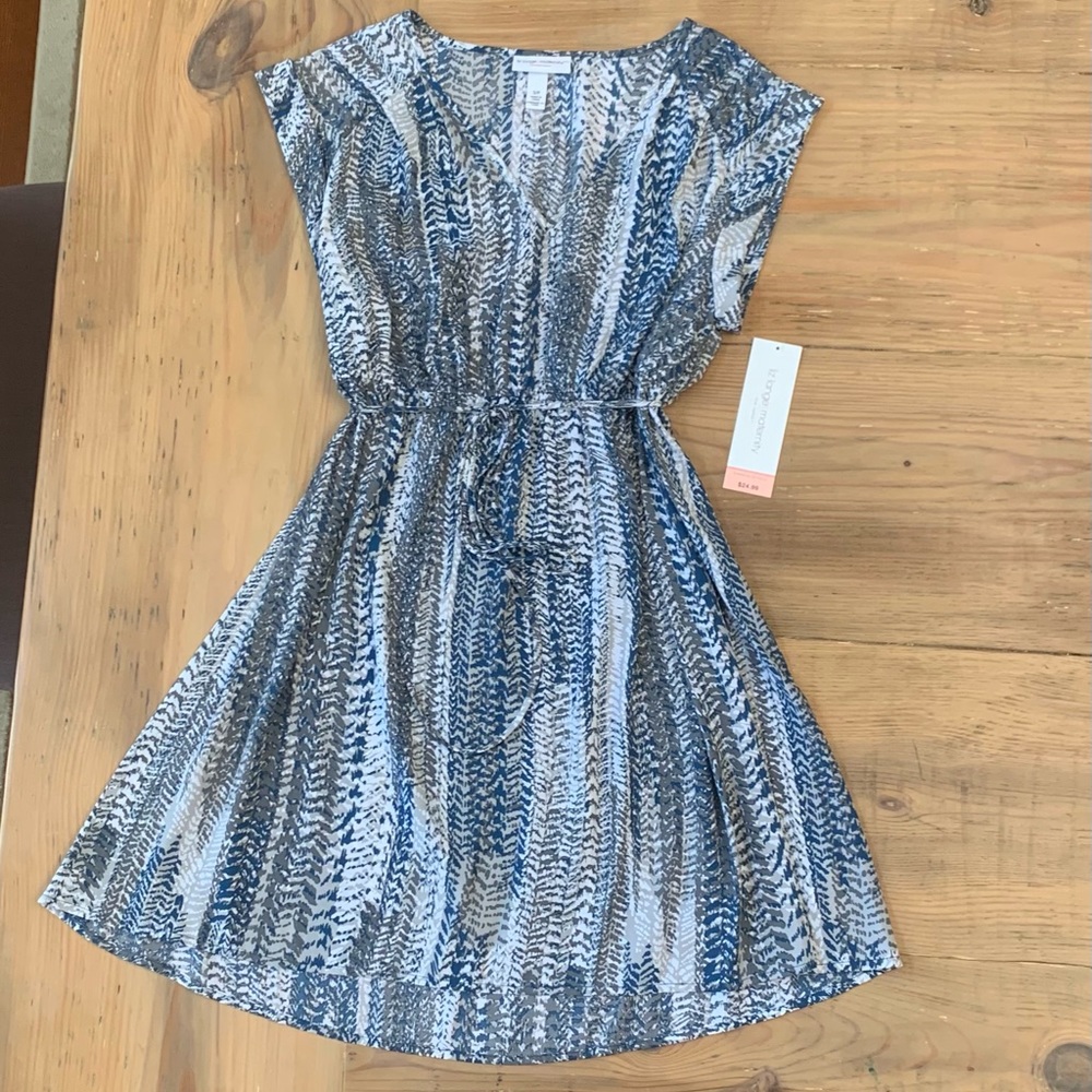 Liz Lange Maternity Multi-colored Tunic